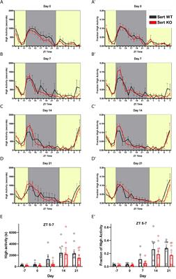 Food Anticipatory Activity on Circadian Time Scales Is Not Dependent on Central Serotonin: Evidence From Tryptophan Hydroxylase-2 and Serotonin Transporter Knockout Mice